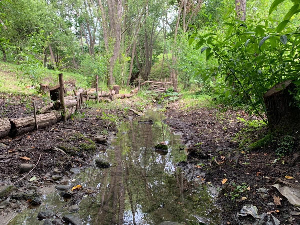 Casa Rurala Cu Livada Lavandra Câmpina Exterior foto